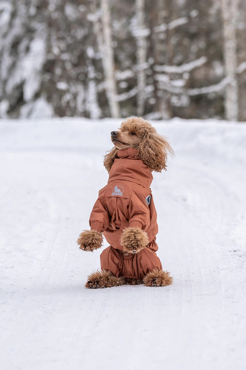 Зимний комбинезон'24