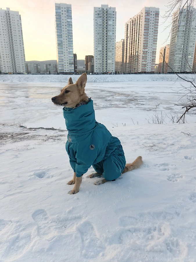 Фотография к отзыву от Светлана.