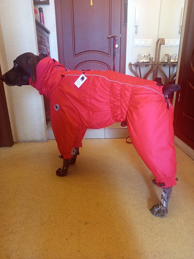 Фотография к отзыву от Галкина Эльмера Рифатьевна.