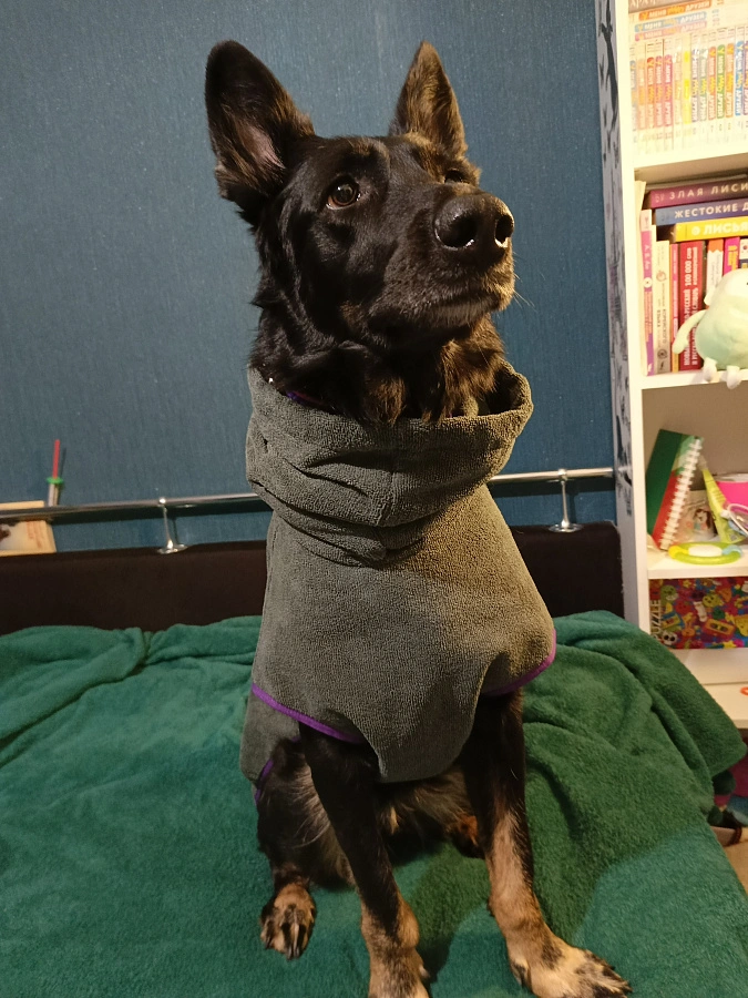 Фотография к отзыву от Старкова Светлана Григорьевна . Товар: <a href='/catalog/product/polotentse-khalat/'>Полотенце/халат</a>