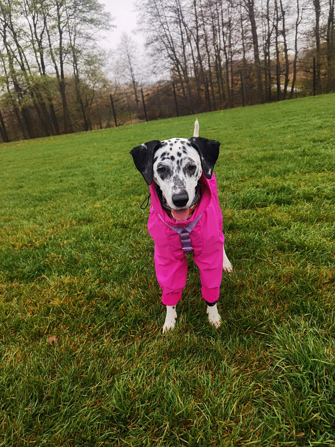 Фотография к отзыву от Гуминская Вера Николаевна .