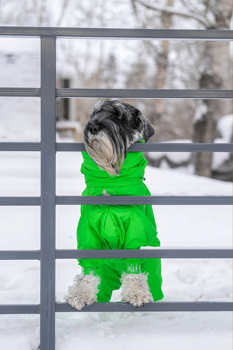 Зимний комбинезон'24