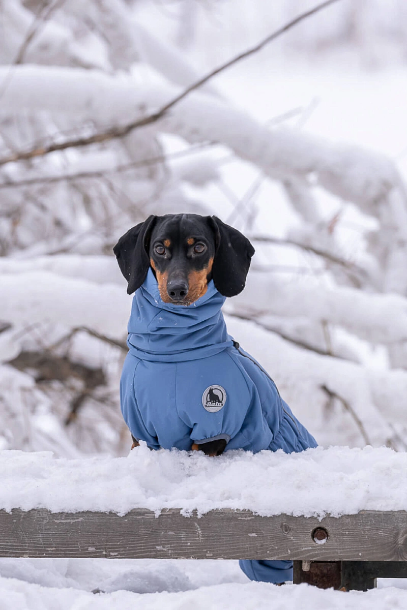 Зимний комбинезон'24