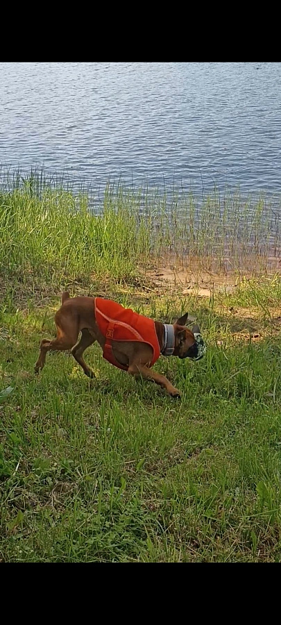 Фотография к отзыву от Беликова Людмила Николаевна. Товар: <a href='/catalog/product/okhlazhdayushchiy-zhilet/'>Охлаждающий жилет</a>