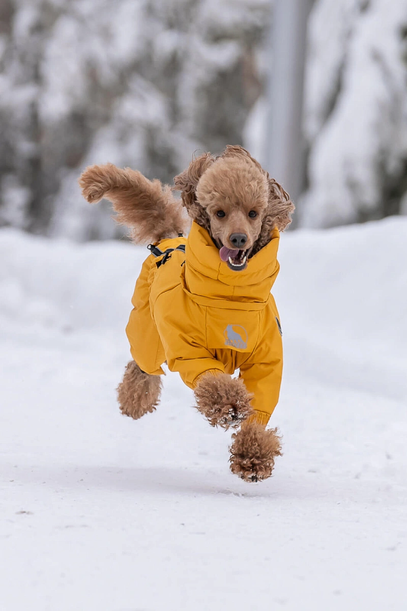 Зимний комбинезон'24