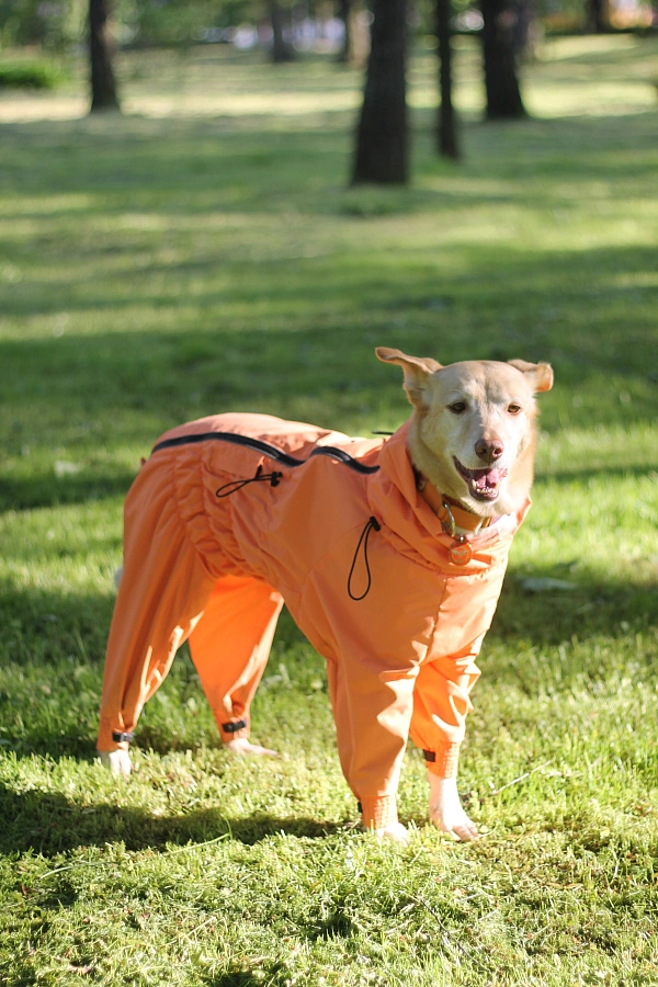 Фотография к отзыву от Виктория. Товар: <a href='/catalog/product/dozhdevik-bazovyy-s-vorotnikom/'>Дождевик базовый с воротником</a>