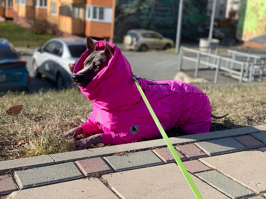 Фотография к отзыву от Позднякова Яна Вадимовна.