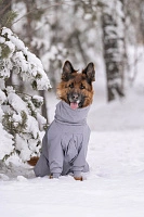 Зимний комбинезон'24