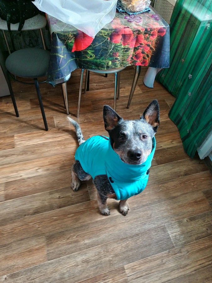 Фотография к отзыву от Вероника.