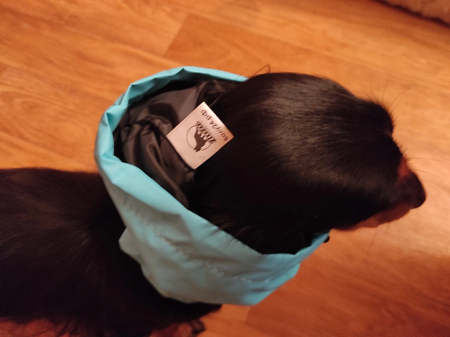 Фотография к отзыву от Козлова Светлана Валентиновна.