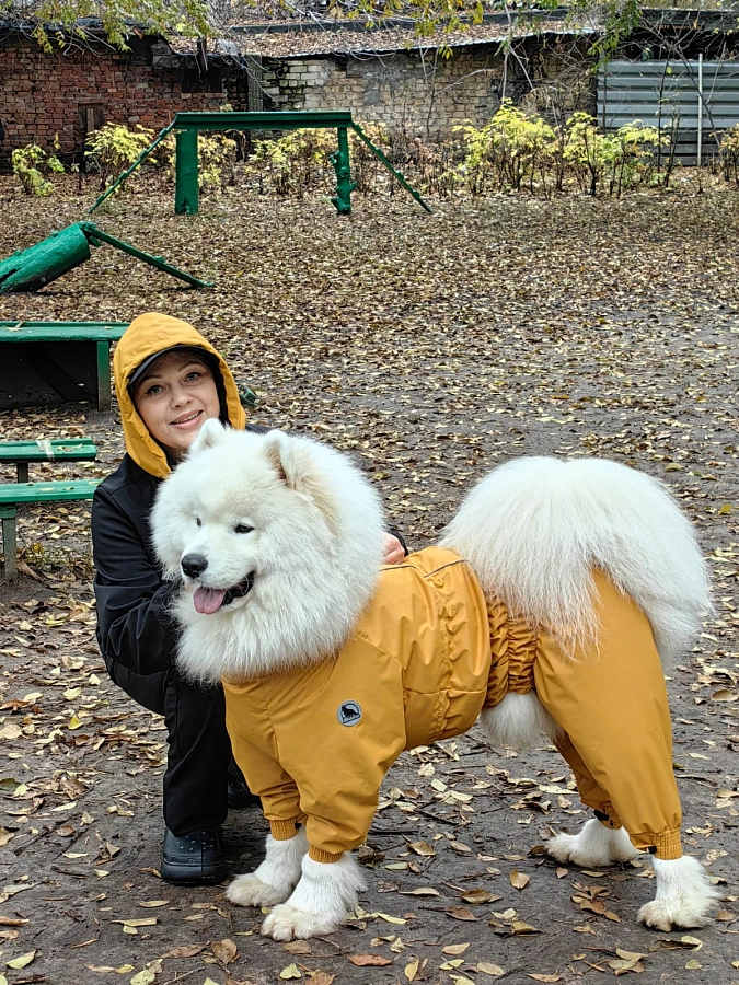 Фотография к отзыву от Татьяна. Товар: <a href='/catalog/product/vetrovka-softshell/'>Ветровка Softshell</a>