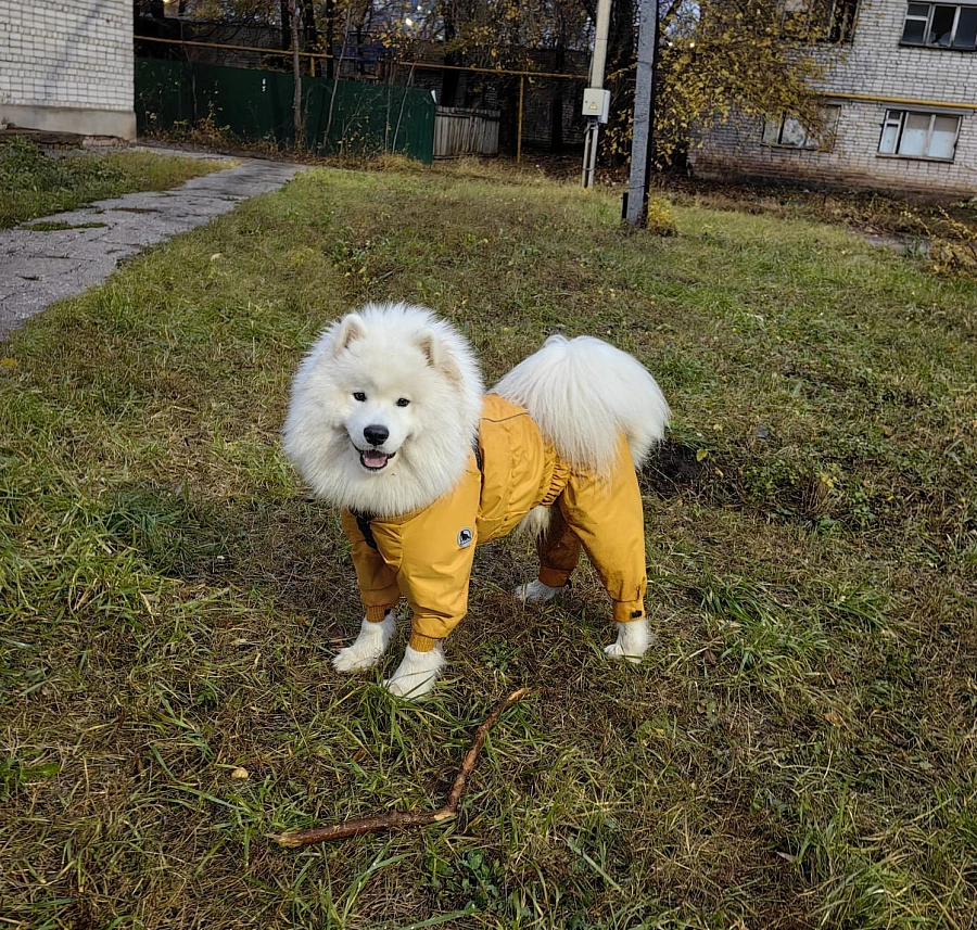 Фотография к отзыву от Татьяна. Товар: <a href='/catalog/product/dozhdevik-bazovyy-s-vorotnikom/'>Дождевик базовый с воротником</a>