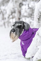 Зимний комбинезон'24