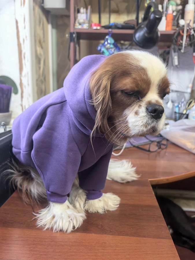 Фотография к отзыву от Петрова Любовь Александровна.