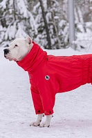 Зимний комбинезон'24