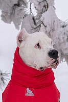 Зимний комбинезон'24