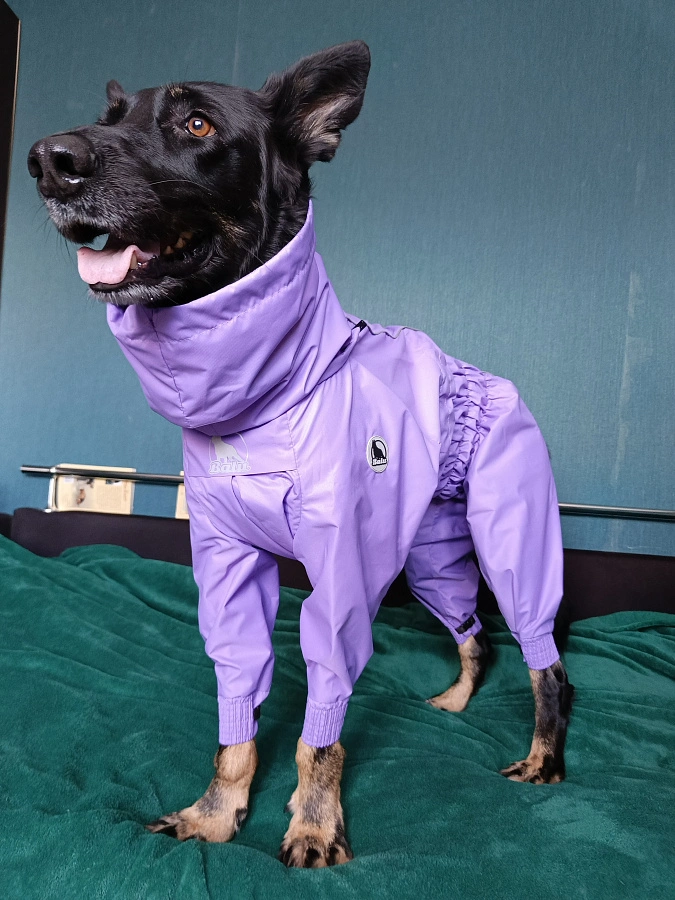 Фотография к отзыву от Светлана . Товар: <a href='/catalog/product/dozhdevik-dog24/'>Дождевик'24</a>