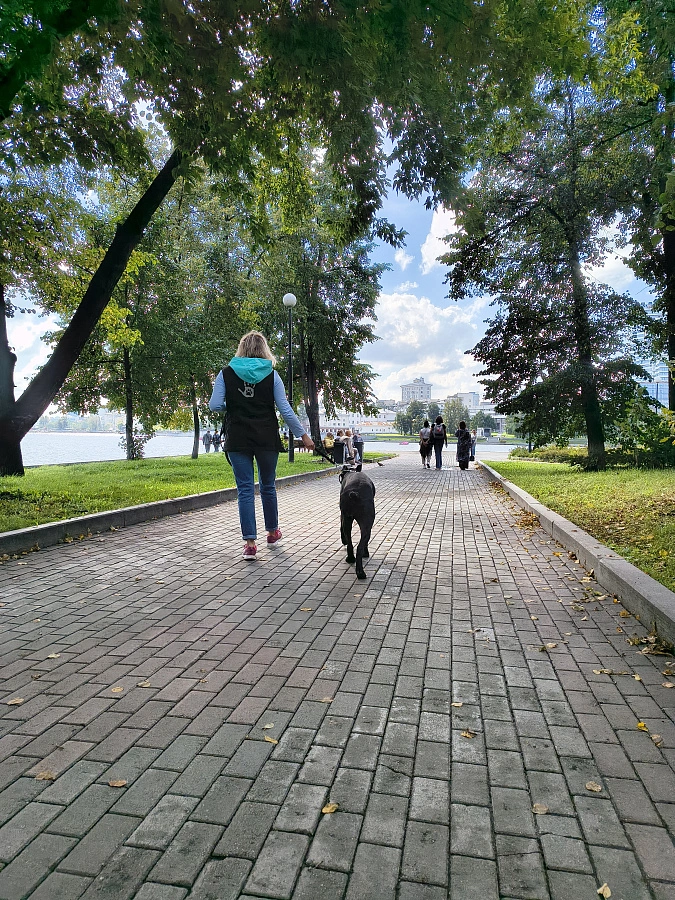 Фотография к отзыву от Евгения.