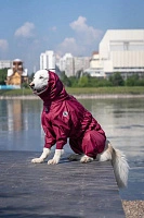 Дождевик'24