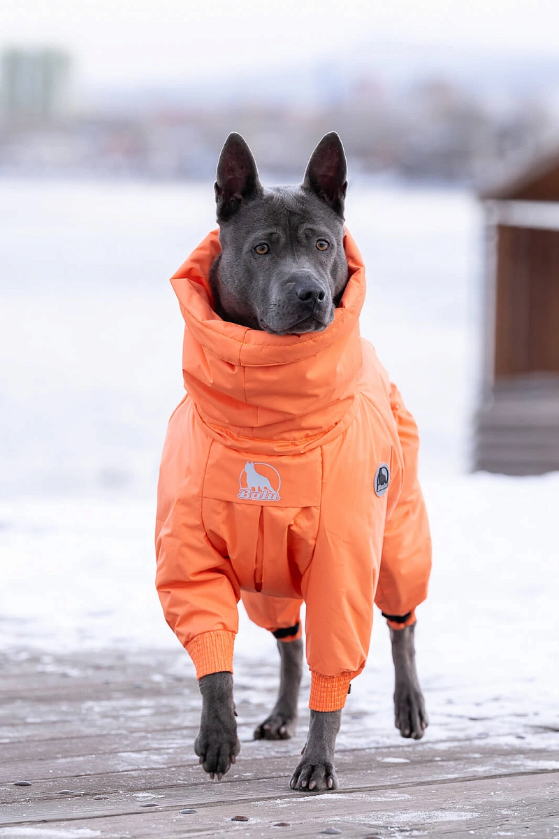 Зимний комбинезон'24