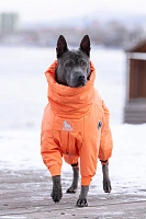 Зимний комбинезон'24