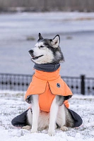Спортивная попона