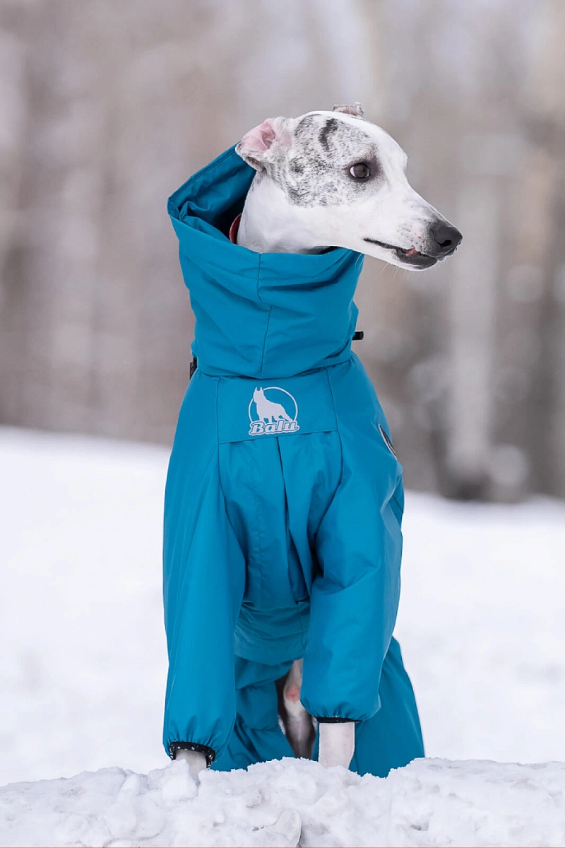 Зимний комбинезон'24