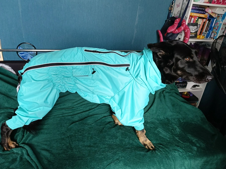 Фотография к отзыву от Светлана . Товар: <a href='/catalog/product/dozhdevik-dog24/'>Дождевик'24</a>