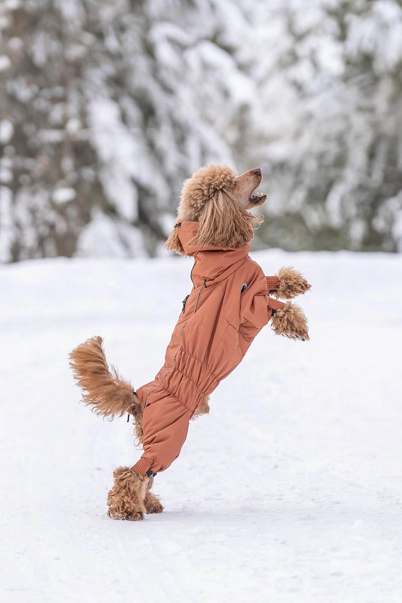 Зимний комбинезон'24