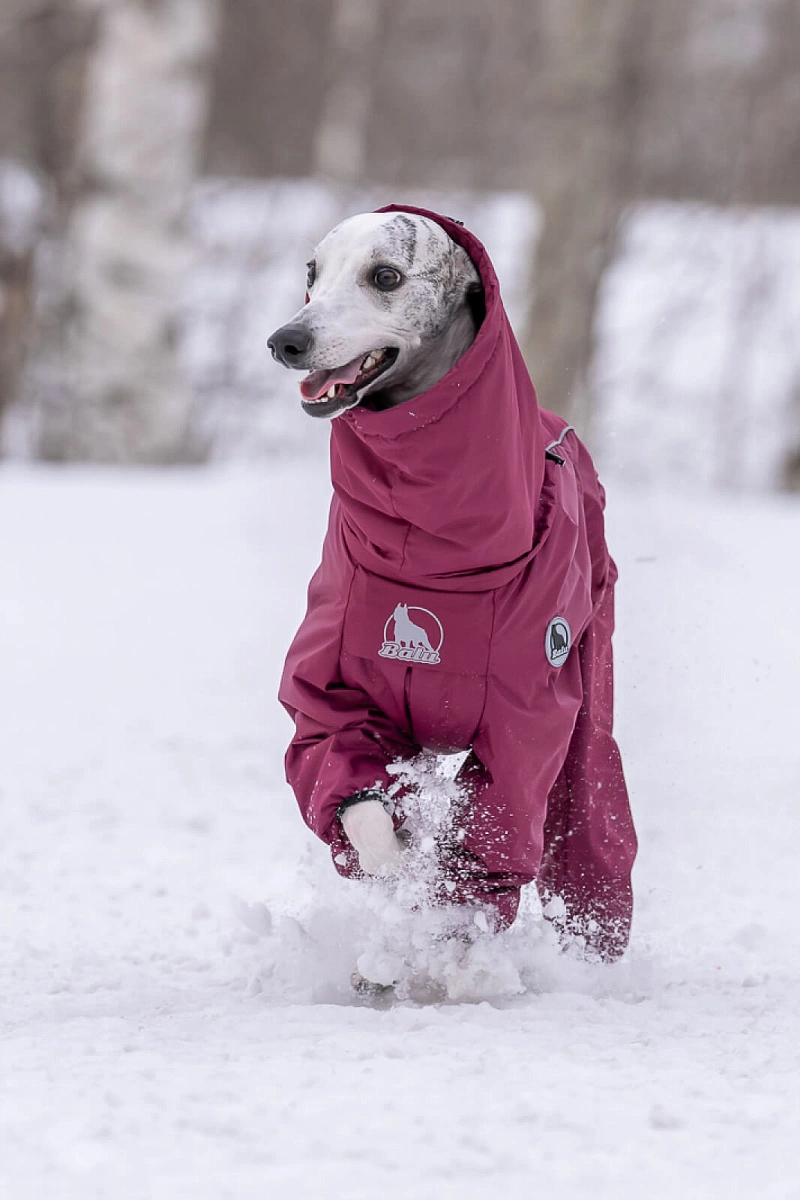 Зимний комбинезон'24