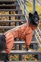 Дождевик'24