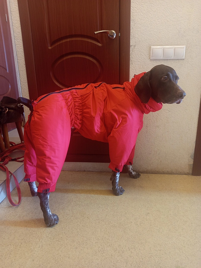 Фотография к отзыву от Галкина Эльмера Рифатьевна.