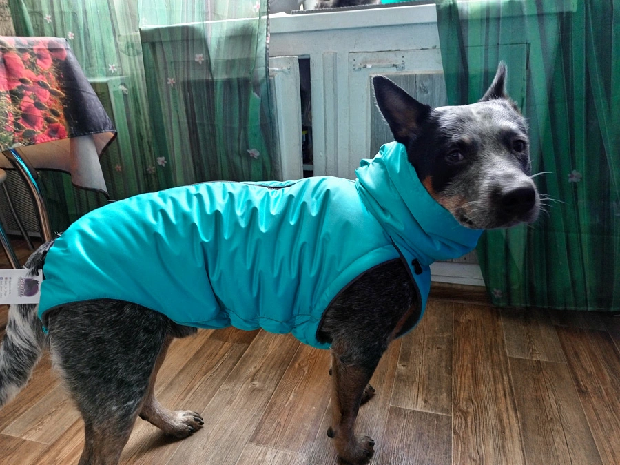 Фотография к отзыву от Вероника.