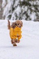 Зимний комбинезон'24