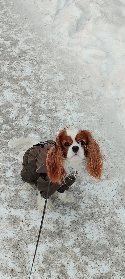 Фотография к отзыву от Бирюкова Анна Юрьевна.