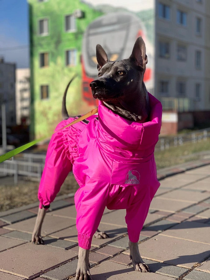 Фотография к отзыву от Позднякова Яна Вадимовна.