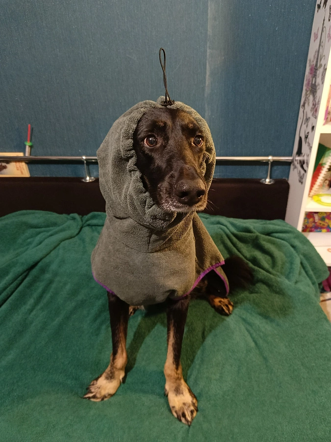 Фотография к отзыву от Старкова Светлана Григорьевна . Товар: <a href='/catalog/product/polotentse-khalat/'>Полотенце/халат</a>