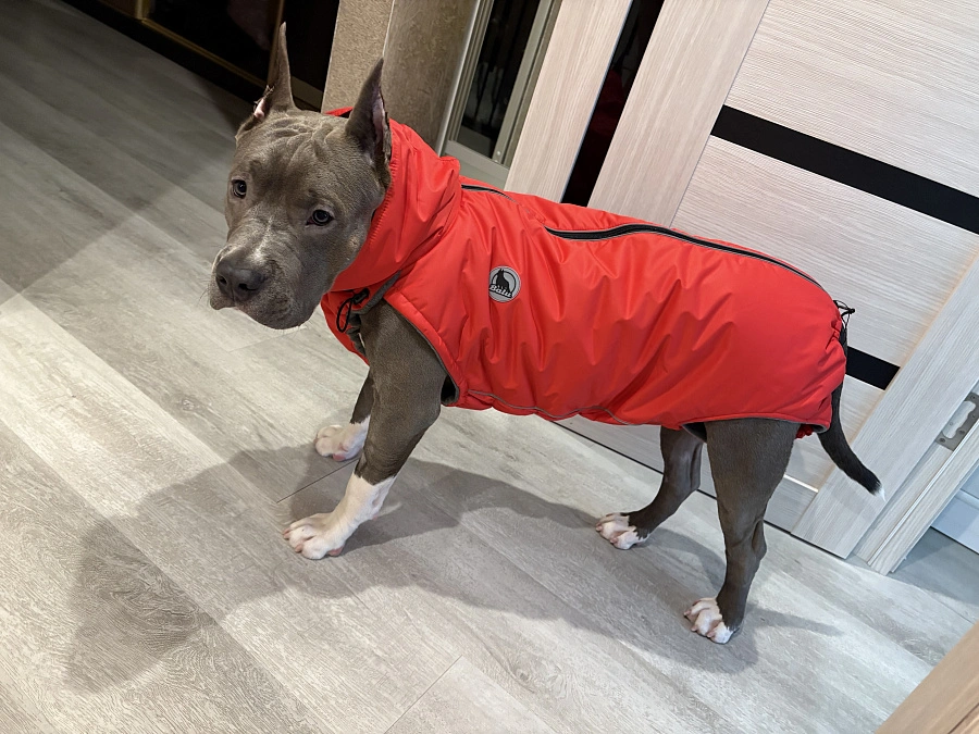 Фотография к отзыву от Соловьева Виктория Васильевна .