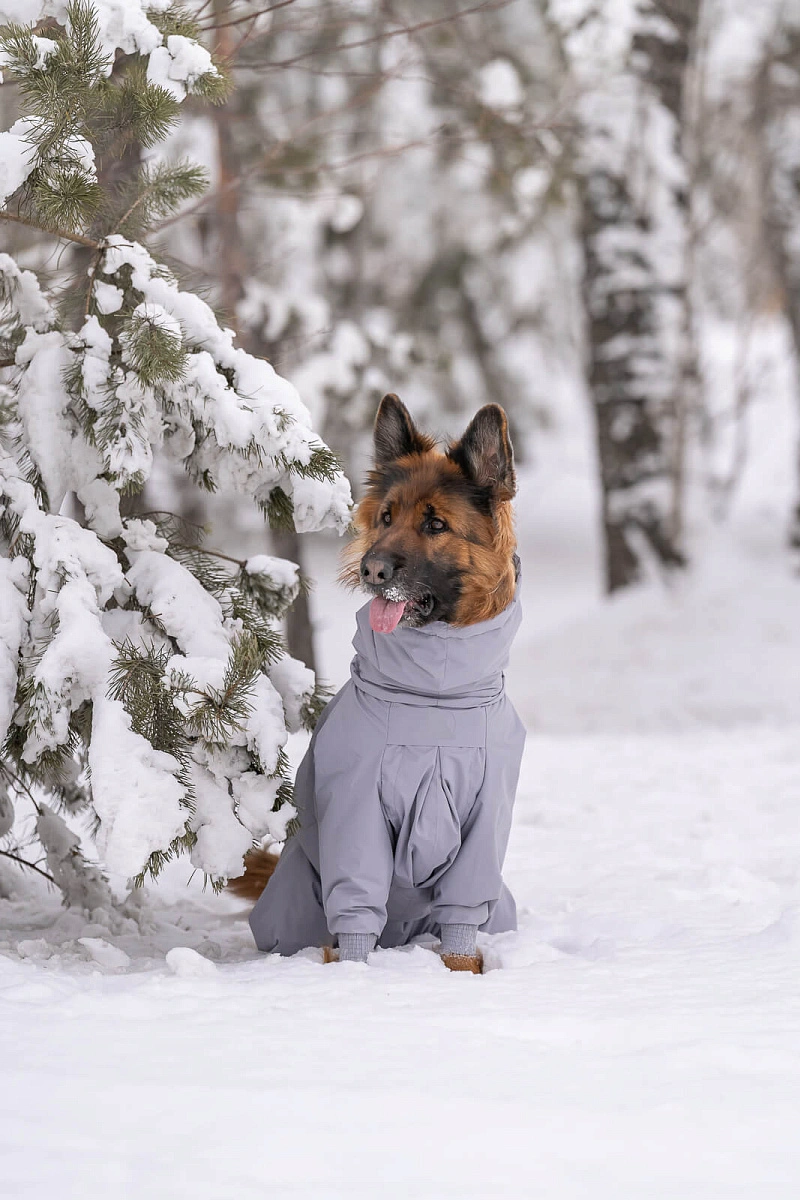 Зимний комбинезон'24