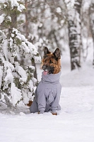 Зимний комбинезон'24