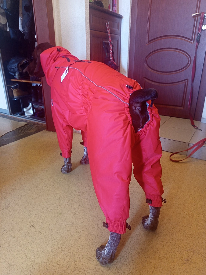 Фотография к отзыву от Галкина Эльмера Рифатьевна.