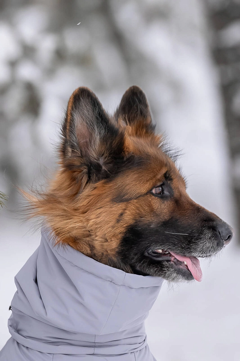 Зимний комбинезон'24