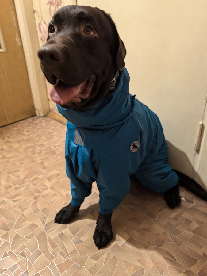 Фотография к отзыву от Любовь. Товар: <a href='/catalog/product/zimniy-kombinezon-dog24/'>Зимний комбинезон'24</a>
