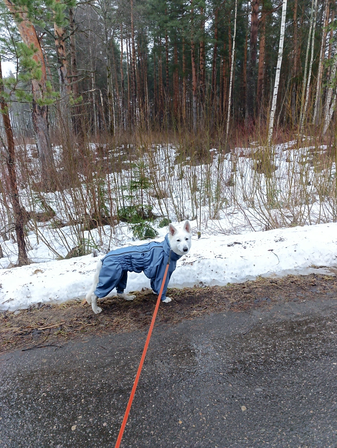 Фотография к отзыву от Татьяна.