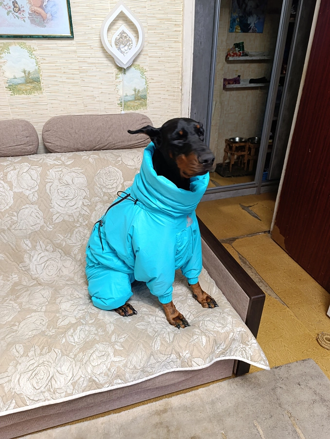 Фотография к отзыву от Малуха Наталья Вячеславовна .