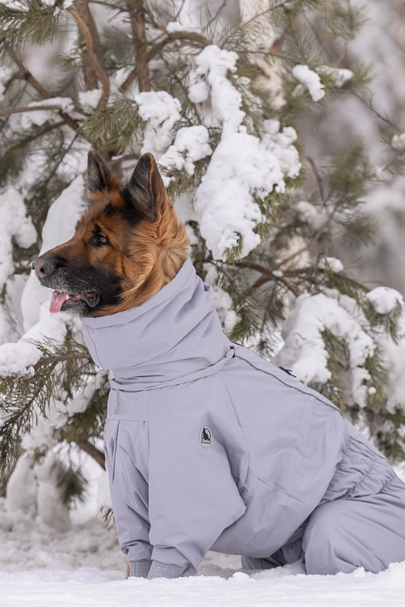 Зимний комбинезон'24