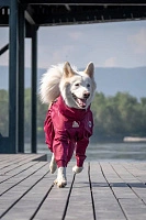 Дождевик'24