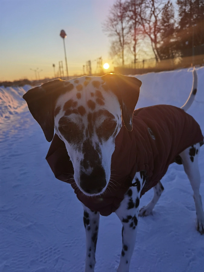 Фотография к отзыву от Гуминская Вера Николаевна .