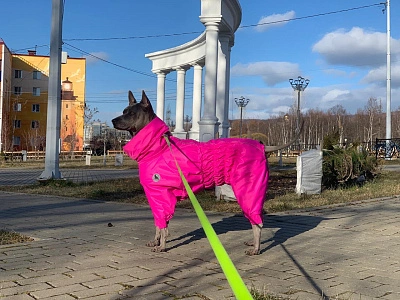 Фотография к отзыву от Яна.