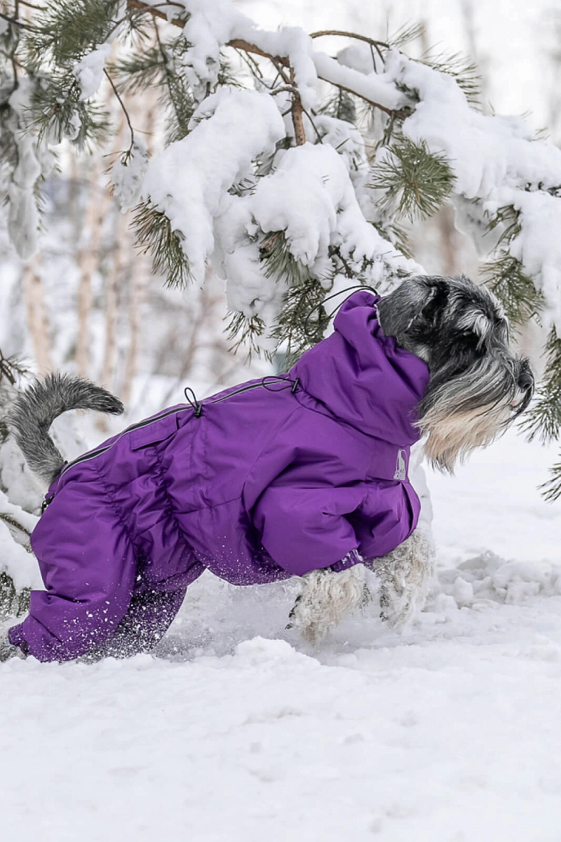 Зимний комбинезон'24